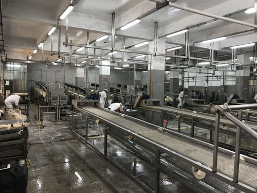 食品廠管道消毒的方法與注意事項(xiàng)